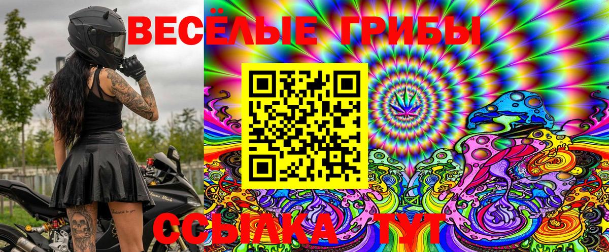 Псилоцибиновые грибы GOLDEN TEACHER  Вход с VPN  Сорочинск  Галлюциногенные грибы MAGIC MUSHROOMS 